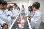 Nhiều sinh viên quốc tế chọn học tại Trường Đại học Quốc tế Hồng Bàng