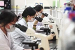 Lãnh đạo trường ĐH ở TP.HCM chia sẻ cách thu hút, giữ chân GV, nhà khoa học giỏi
