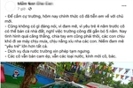 Nhiều trường mầm non tư thục đóng cửa vì dịch bệnh Covid-19 kéo dài
