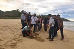 Sinh viên Trường Đại học Bà Rịa – Vũng Tàu đồng hành cùng dự án quốc tế