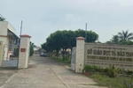 Bị tố bằng TN bổ túc TH, chưa tìm thấy dữ liệu, chủ nhiệm CLB bơi lội nói gì?
