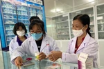 Hàng trăm học sinh THPT được trải nghiệm “Một ngày làm Dược sĩ” tại HIU