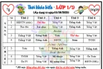Phụ huynh TPHCM quay cuồng với lớp liên kết tiếng Anh, kỹ năng sống 'tự nguyện'
