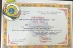 Sở GD TPHCM sẽ xử lý nếu trường bắt thi học sinh giỏi do cụm chuyên môn tổ chức 
