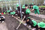 TPHCM: Học sinh tiểu học không đi trải nghiệm ngoài thành phố