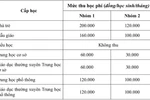 Thành phố Hồ Chí Minh hướng dẫn mức thu học phí cho năm học 2022-2023