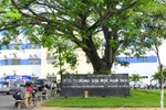 Cơ sở pháp lý khi cổ phần hóa Trường Cao đẳng bán công Hoa Sen