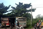 Khởi tố vụ án buôn thuốc lá lậu cực lớn