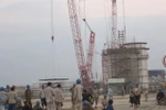 Chủ quyền quốc gia, lãnh đạo bận họp và âm mưu ác độc của loài Tu hú
