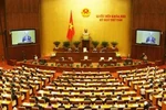 Đại biểu quốc hội: Hỏi nhiều, nhưng ít “chất”? 