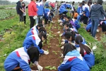 Bà mẹ ở Hà Nội thừa nhận con mình không biết gì về Bà Trưng, Bà Triệu