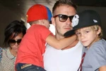 Khóa học nghiên cứu David Beckham, Harry Potter, người ngoài hành tinh