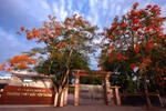 Nghệ An: Thầy giáo là Bí thư đoàn tát học sinh bị tạm đình chỉ công tác