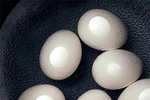 Dấm trứng gà: Bổ dưỡng và chữa được nhiều bệnh