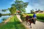 “Nông thôn” đâu mà về?