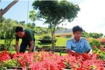 Thăm doanh trại đẹp như mơ của bộ đội ra đa