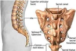 10 căn bệnh đáng sợ "rình rập" dân văn phòng