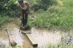  Không thể lây nhiễm HIV từ đỉa sang người