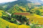 Mùa vàng ở Mù Căng Chải