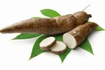 Những thực phẩm làm tăng nguy cơ bệnh bướu cổ