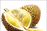 Sầu riêng có khả năng làm tăng lực