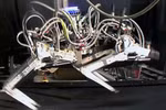 Robot Cheetah: Nhanh hơn cả người chạy nhanh nhất hành tinh