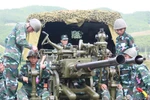 Quân đội Việt Nam: Hội thao diễn tập pháo phòng không 