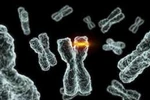Hàn Quốc tìm ra enzyme kìm hãm ung thư 