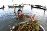 Cách đơn giản phòng "amip ăn não"