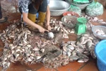 Xem những hình ảnh này, thực khách còn dám ăn bún cá ở Hà Nội?