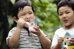 Thực phẩm ăn hôm nay tốt cho não ngày mai