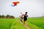 Mùa hè với học trò của tôi