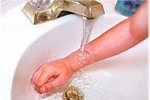 Sâu róm - Mối nguy hại cho trẻ 