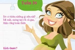 Khám phá sự phát triển của bé trong bụng mẹ thông qua 9 loại quả