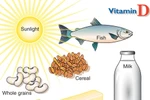 5 loại vitamin cần thiết cho cơ thể trong mùa Đông