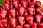 14 loại quả cực tốt cho người bị bệnh tiểu đường 
