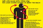Stress gây rối loạn cương dương và bệnh tim mạch 