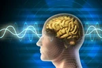 Sử dụng nhiều ngôn ngữ giúp bộ não nhanh nhạy và thông minh hơn