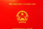 Nghịch lý viên chức đủ chứng chỉ ngoại ngữ vẫn không nói được 1 câu ra hồn