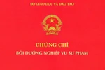 Không có chứng chỉ bồi dưỡng nghiệp vụ sư phạm, Phó hiệu trưởng xuống hạng III