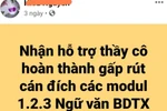Nở rộ dịch vụ học hộ, làm bài tập thay giáo viên tập huấn trực tuyến 