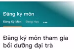 Oái oăm phần mềm tập huấn giáo viên cần thì bị khóa, TEMIS vô bổ thì còn 