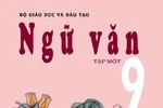 Tinh giản chương trình môn Ngữ văn chỉ giảm số tiết chứ không giảm bài học!
