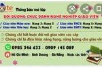 Nếu giáo viên cả nước học chứng chỉ nghề nghiệp, sẽ phải bỏ ra 2,2 nghìn tỉ đồng