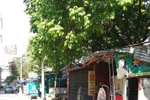 Thành phố Hà Nội cần xử lý nghiêm vụ đất công bị xẻ thịt ở phường Mỹ Đình 1