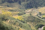 Ấn tượng đẹp về Sapa qua ống kính của một cô gái người Pháp 