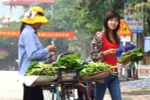 Những hình ảnh đẹp ở Việt Nam qua ống kính người nước ngoài 