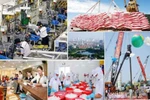 Điều kiện và hình thức cổ phần hóa doanh nghiệp nhà nước