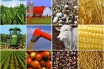 Thủ tướng duyệt Kế hoạch cơ cấu lại ngành nông nghiệp