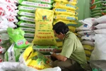 Xử lý nghiêm tổ chức, cá nhân sản xuất, kinh doanh phân bón giả